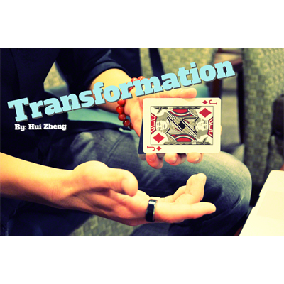 Transformation by Hui Zheng Video DOWNLOAD