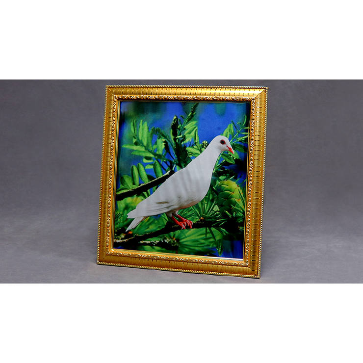 Dove Frame (Photo) by Mr. Magic Trick