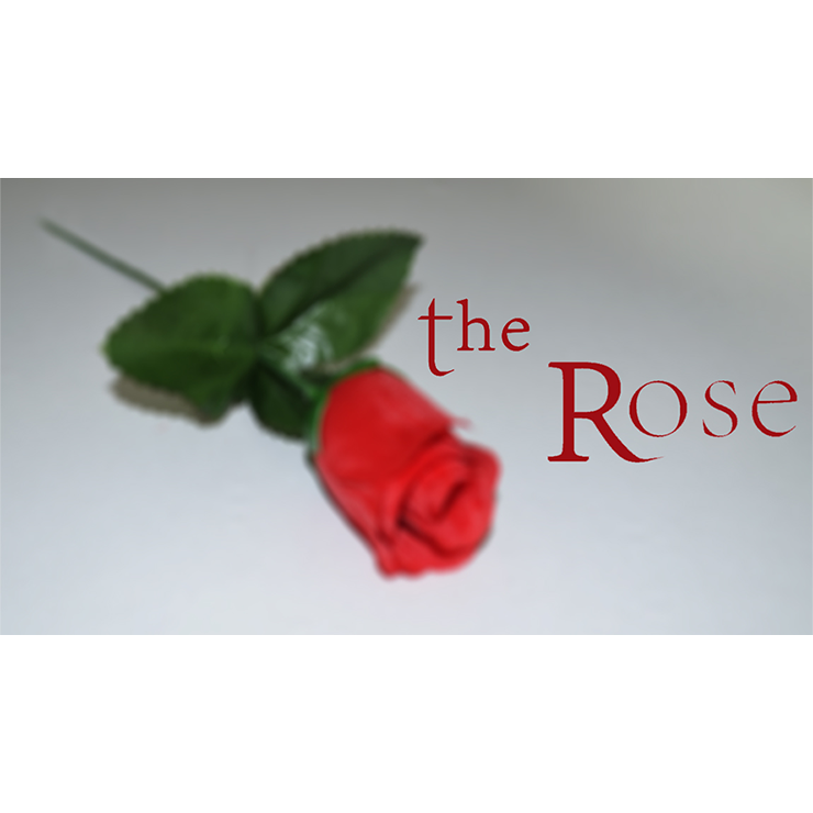 The Rose by Sandro Loporcaro (Amazo) video DOWNLOAD