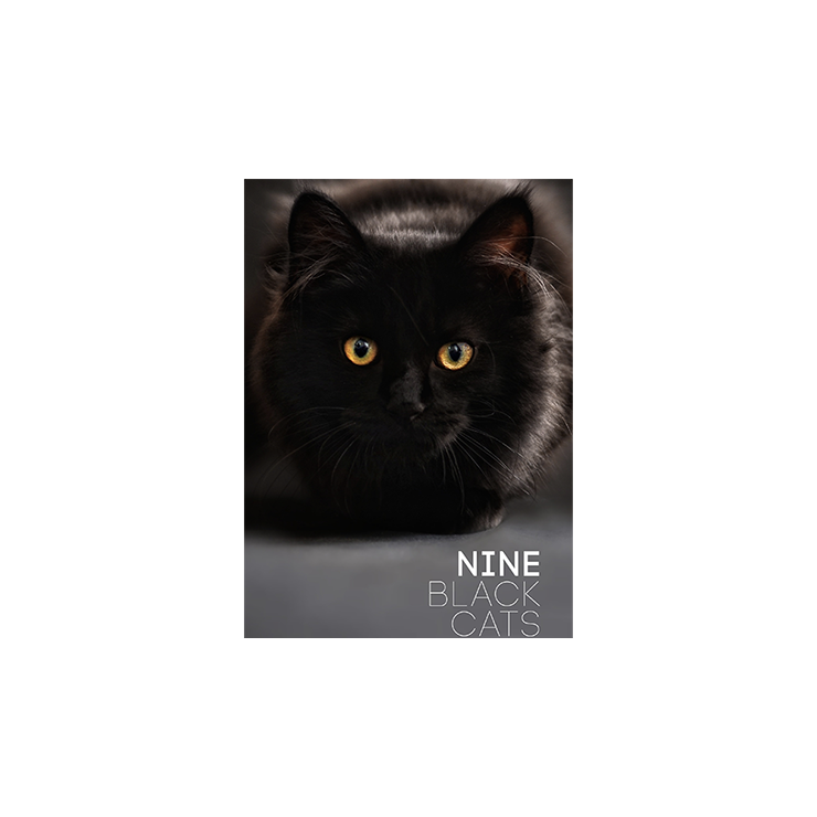 Nine Black Cats by Neema Atri eBook DOWNLOAD