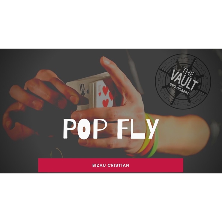 The Vault Pop Fly by Bizau Cristian video DOWNLOAD