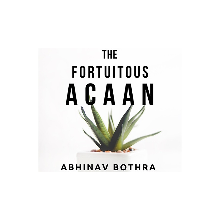 The Fortuitous ACAAN by Abhinav Bothra Mixed Media DOWNLOAD