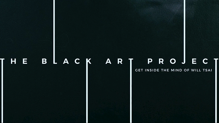 Black Art Project (2 DVD Set) by SansMinds DVD