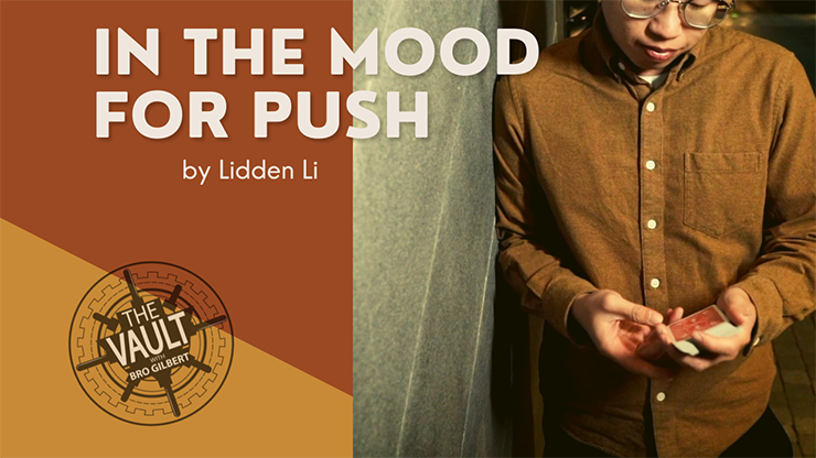 The Vault In The Mood For Push by Lidden Li video DOWNLOAD