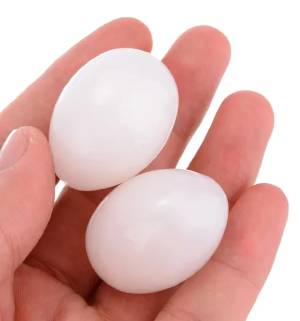 Solid Plastic Eggs Set of 2